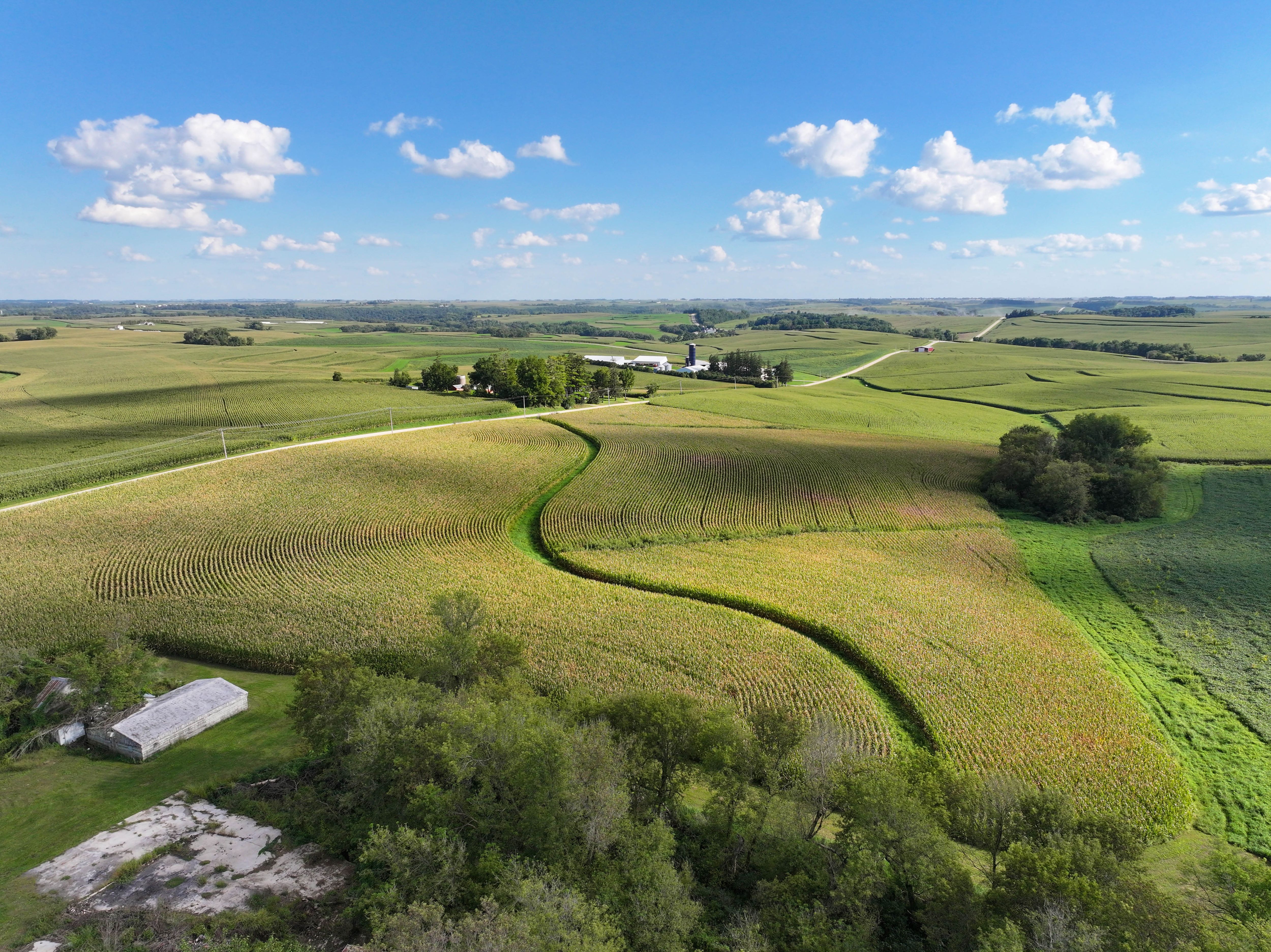 Listing Photo: 2-Allamakee Co Farmland Auction